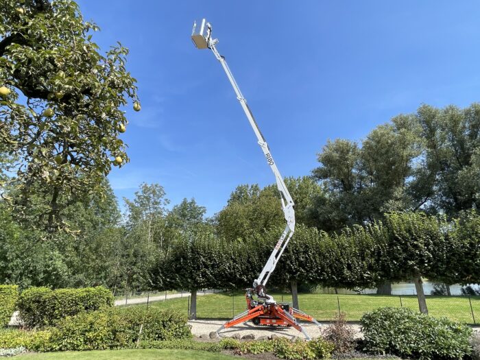 20240827 114158982 iOS