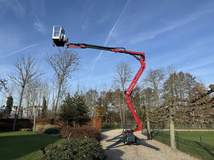 20251204 115951838 iOS