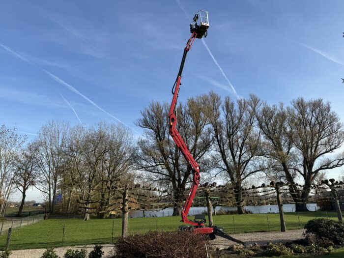 20251204 120153220 iOS