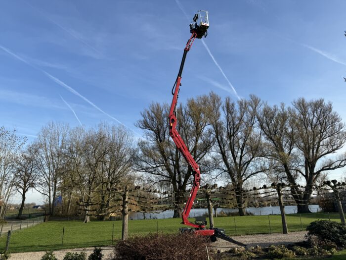 20251204 120154270 iOS